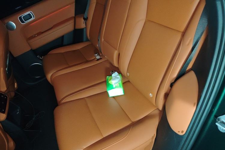 Used Li Auto L6 2024 Pro Model Left Rear Seat