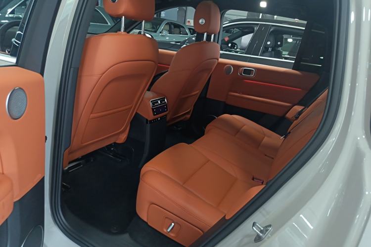Used Li Auto L6 2024 Max Left Rear Seat