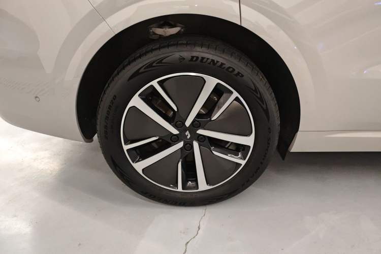 Used Li Auto L6 2024 Pro Model Exterior 8