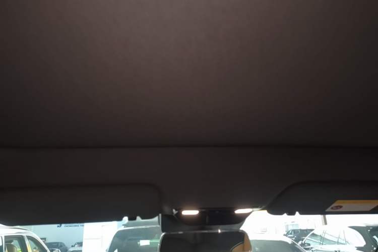Used Li Auto L6 2024 Pro Model Headliner