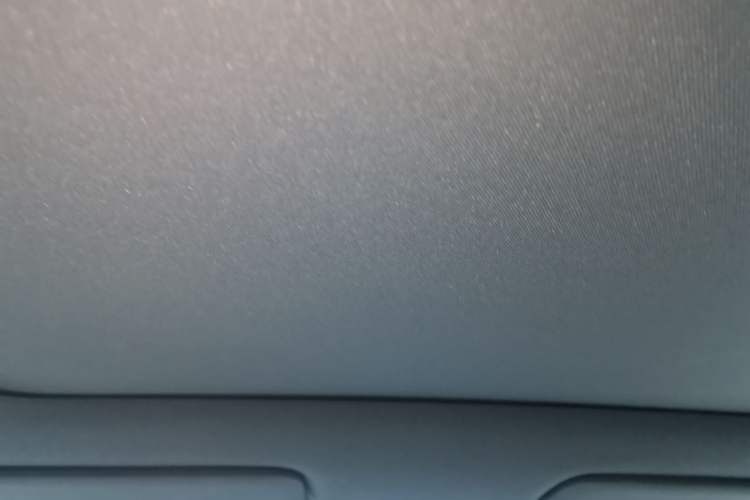 Used Li Auto L6 2024 Pro Model Headliner