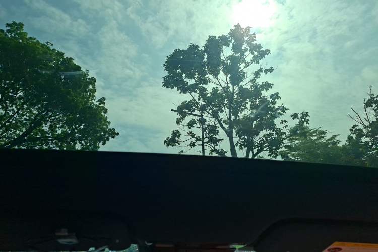 Used Li Auto L6 2024 Pro Model Headliner