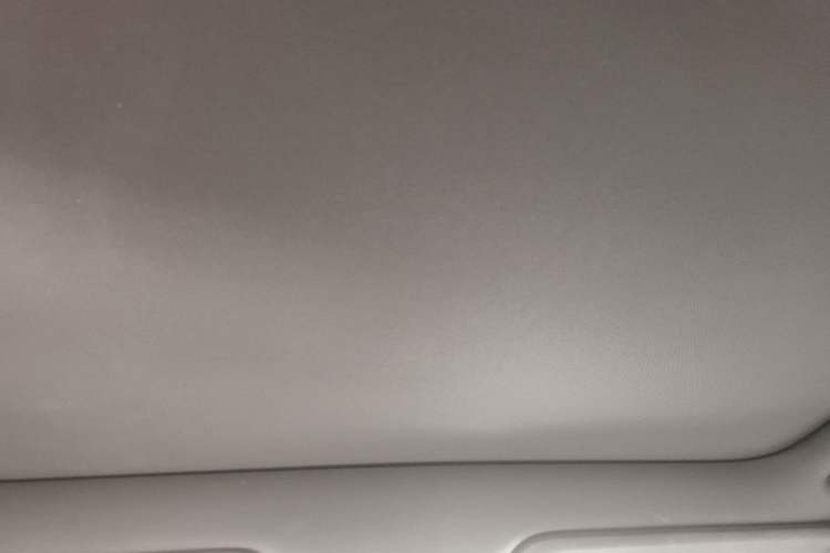 Used Li Auto L6 2024 Pro Model Headliner