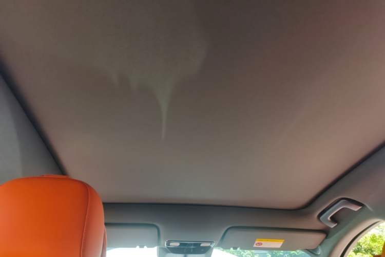 Used Li Auto L6 2024 Pro Model Headliner