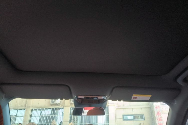 Used Li Auto L6 2024 Pro Model Headliner