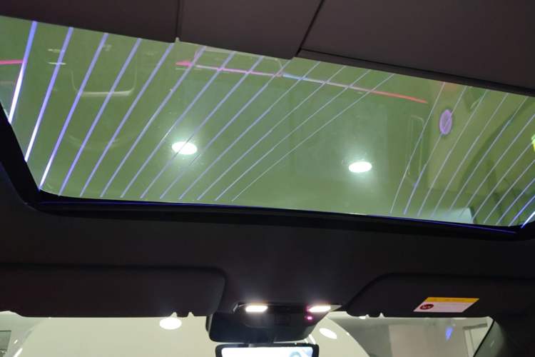 Used Li Auto L6 2024 Pro Model Headliner