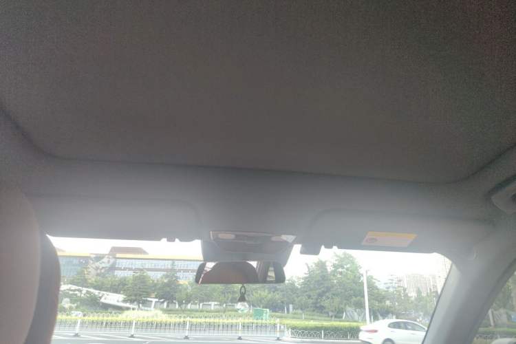 Used Li Auto L6 2024 Pro Model Headliner