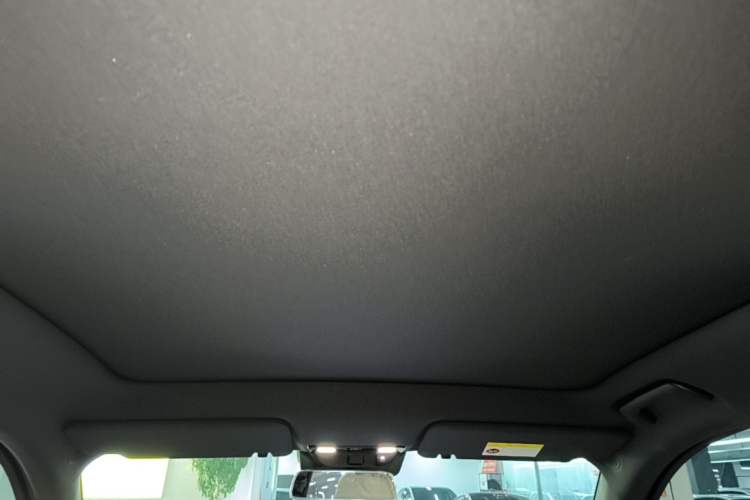 Used Li Auto L6 2024 Max Headliner