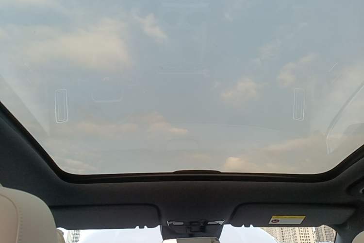Used Li Auto L6 2024 Pro Model Headliner