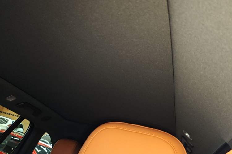 Used Li Auto L6 2024 Pro Model Headliner