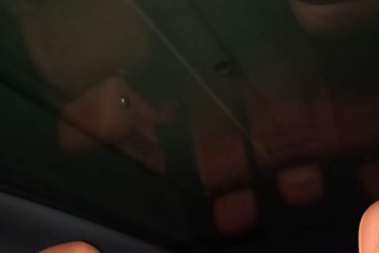 Used Li Auto L6 2024 Max Headliner