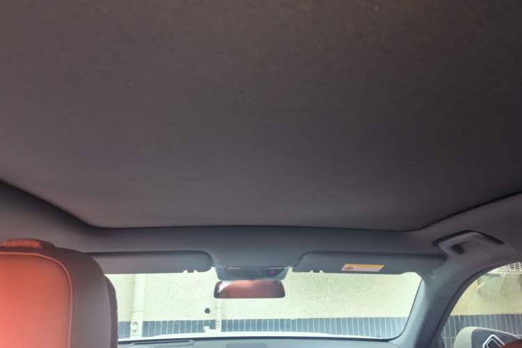 Used Li Auto L6 2024 Pro Model Headliner
