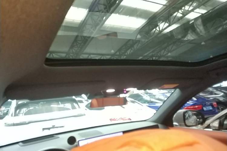 Used Li Auto L6 2024 Pro Model Headliner