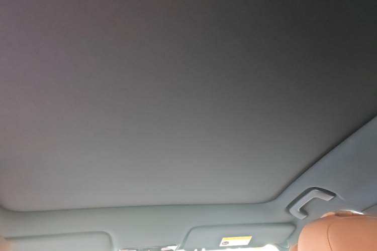 Used Li Auto L6 2024 Pro Model Headliner