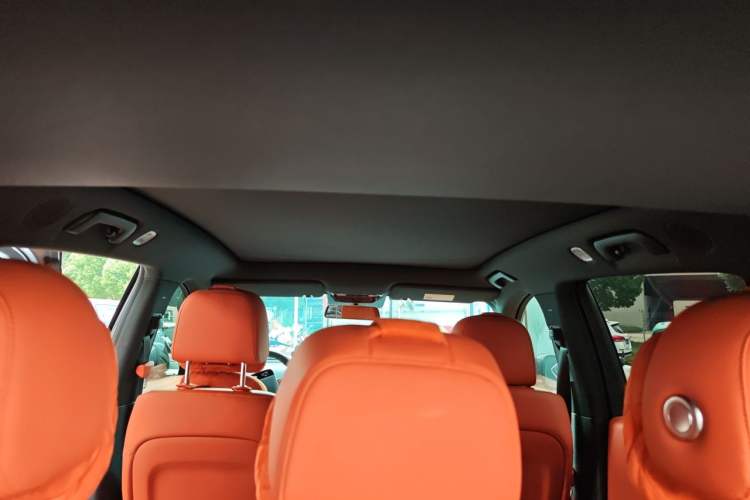 Used Li Auto L6 2024 Pro Model Headliner