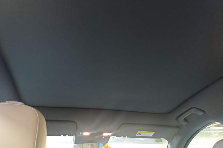 Used Li Auto L6 2024 Pro Model Headliner