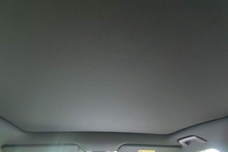 Used Li Auto L6 2024 Pro Model Headliner