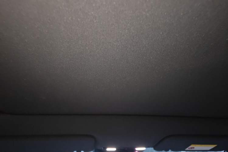 Used Li Auto L6 2024 Pro Model Headliner