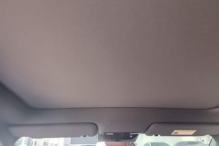 Used Li Auto L6 2024 Pro Model Headliner
