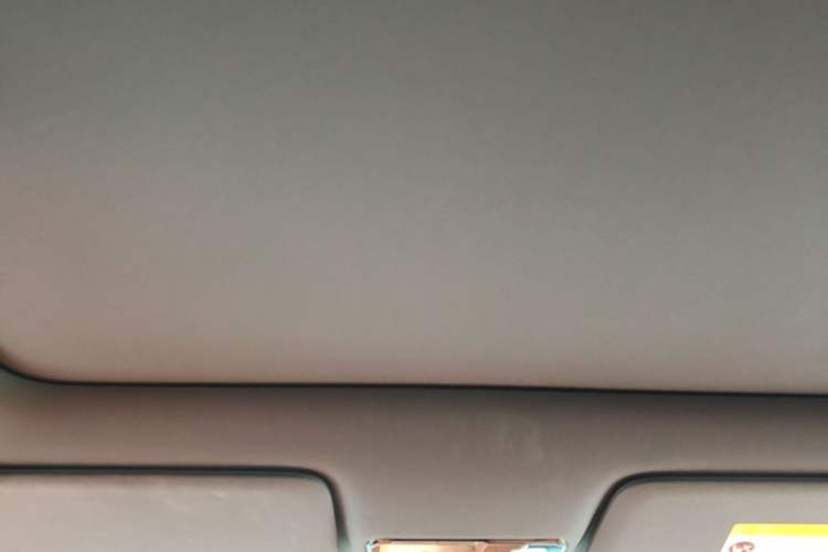 Used Li Auto L6 2024 Pro Model Headliner
