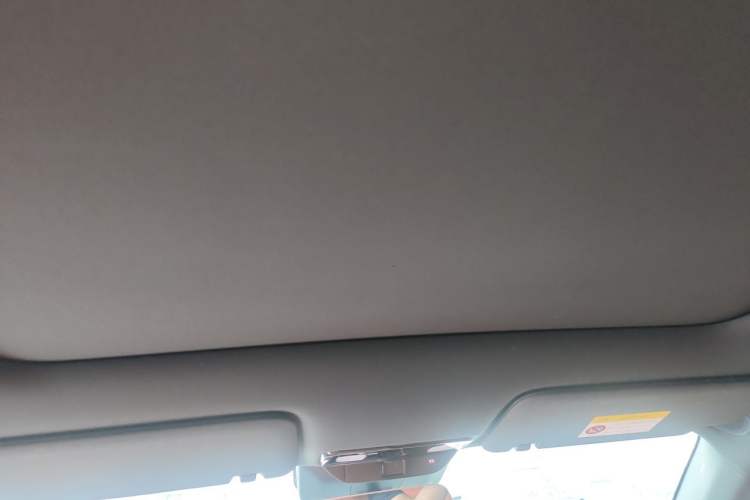 Used Li Auto L6 2024 Pro Model Headliner