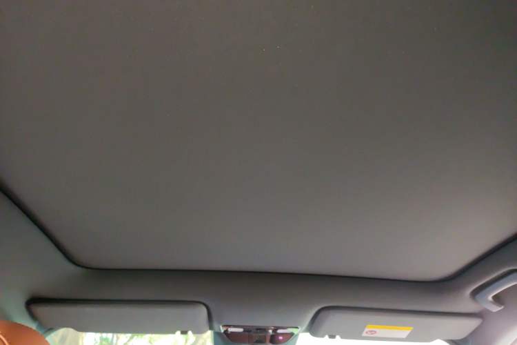 Used Li Auto L6 2024 Pro Model Headliner