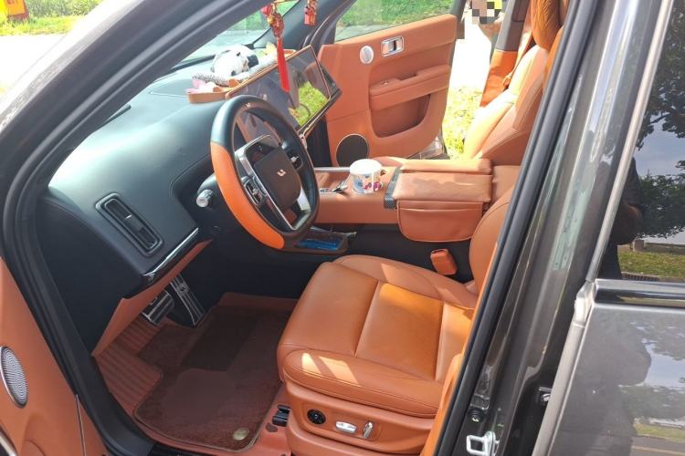 Used Li Auto L6 2024 Pro Model Left Front Seat
