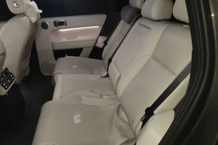 Used Li Auto L6 2024 Max Left Rear Seat