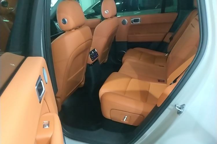 Used Li Auto L6 2024 Max Left Rear Seat