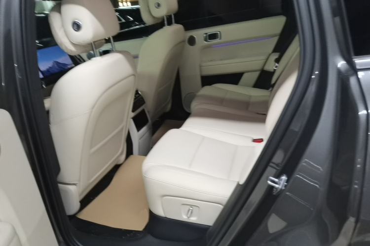 Used Li Auto L6 2024 Pro Model Left Rear Seat