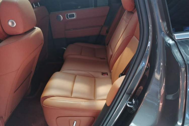 Used Li Auto L6 2024 Pro Model Left Rear Seat