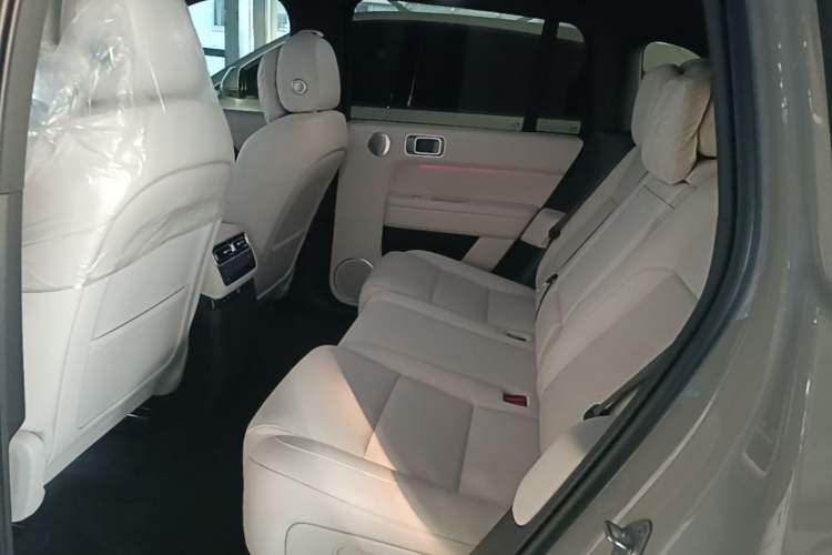 Used Li Auto L6 2024 Max Left Rear Seat