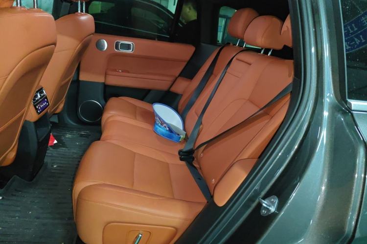 Used Li Auto L6 2024 Pro Model Left Rear Seat