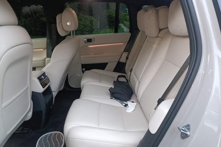 Used Li Auto L6 2024 Pro Model Left Rear Seat
