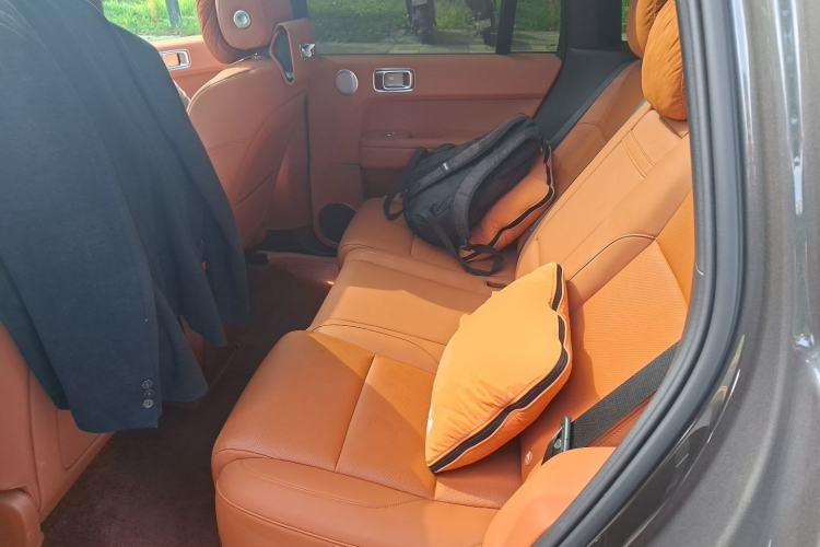 Used Li Auto L6 2024 Pro Model Left Rear Seat