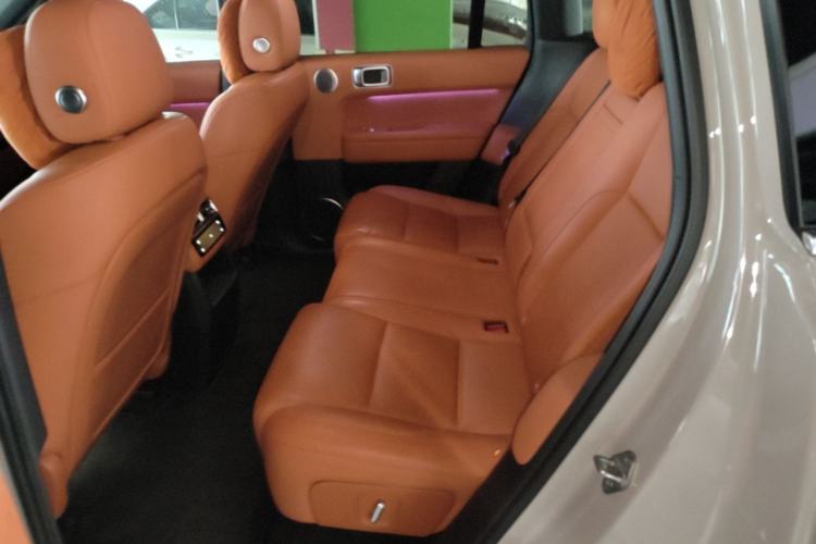 Used Li Auto L6 2024 Pro Model Left Rear Seat