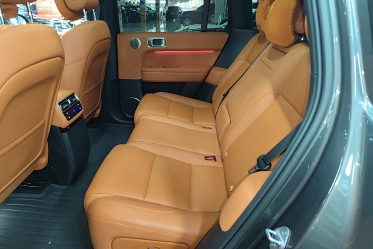 Used Li Auto L6 2024 Max Left Rear Seat