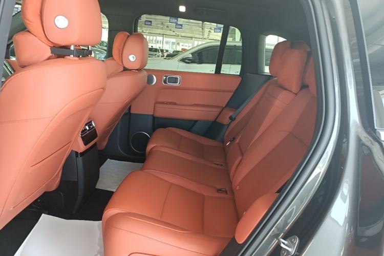 Used Li Auto L6 2024 Max Left Rear Seat