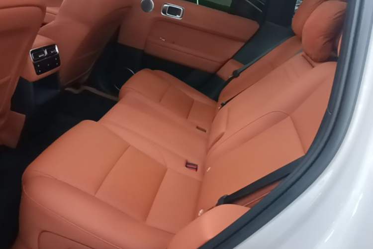 Used Li Auto L6 2024 Pro Model Left Rear Seat
