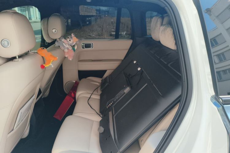 Used Li Auto L6 2024 Pro Model Left Rear Seat