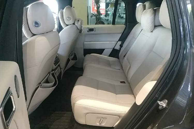 Used Li Auto L6 2024 Pro Model Left Rear Seat
