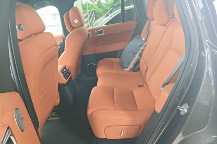 Used Li Auto L6 2024 Max Left Rear Seat