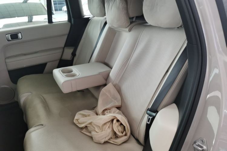 Used Li Auto L6 2024 Max Left Rear Seat
