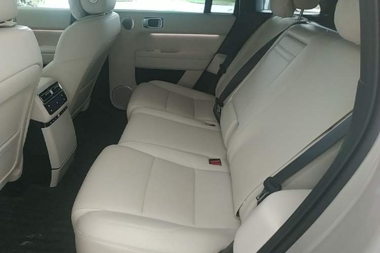 Used Li Auto L6 2024 Max Left Rear Seat