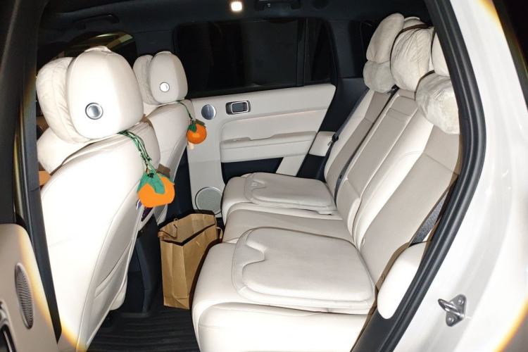 Used Li Auto L6 2024 Max Left Rear Seat