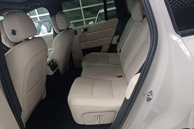 Used Li Auto L6 2024 Pro Model Left Rear Seat