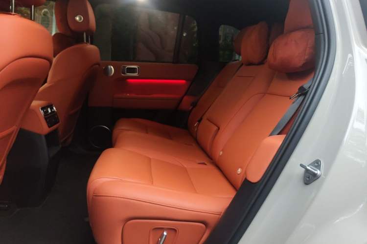 Used Li Auto L6 2024 Pro Model Left Rear Seat
