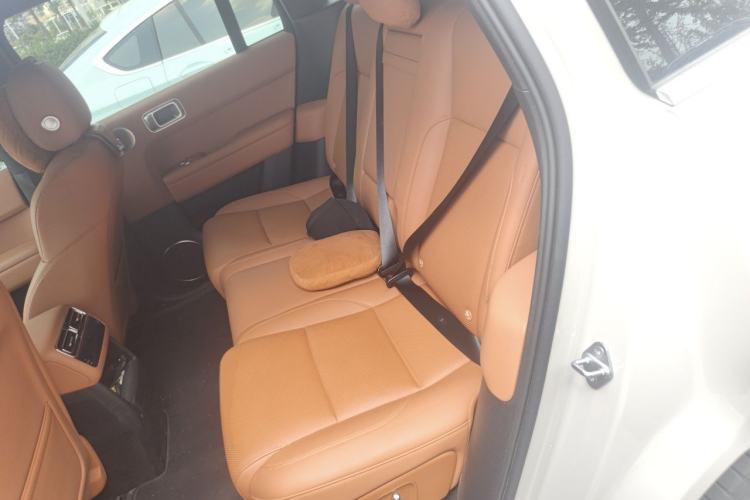 Used Li Auto L6 2024 Pro Model Left Rear Seat