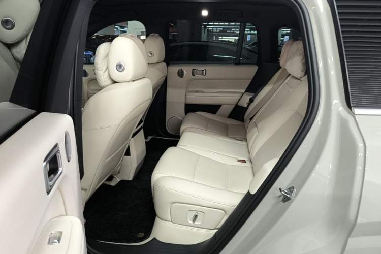 Used Li Auto L6 2024 Max Left Rear Seat