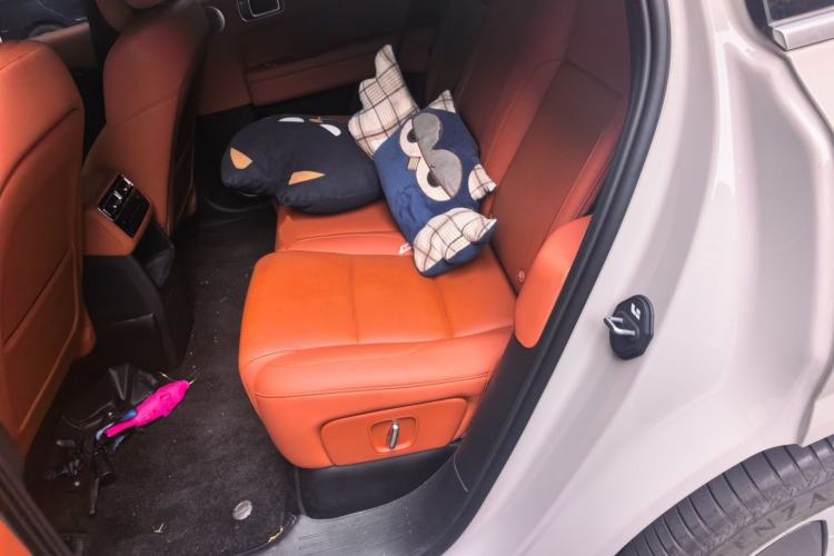 Used Li Auto L6 2024 Pro Model Left Rear Seat